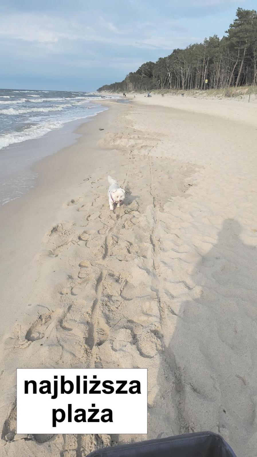 Willa Wieniotowo Przy Lesie I Plazy Ap Am Wald Und Strand Ustronie Morskie Exterior photo